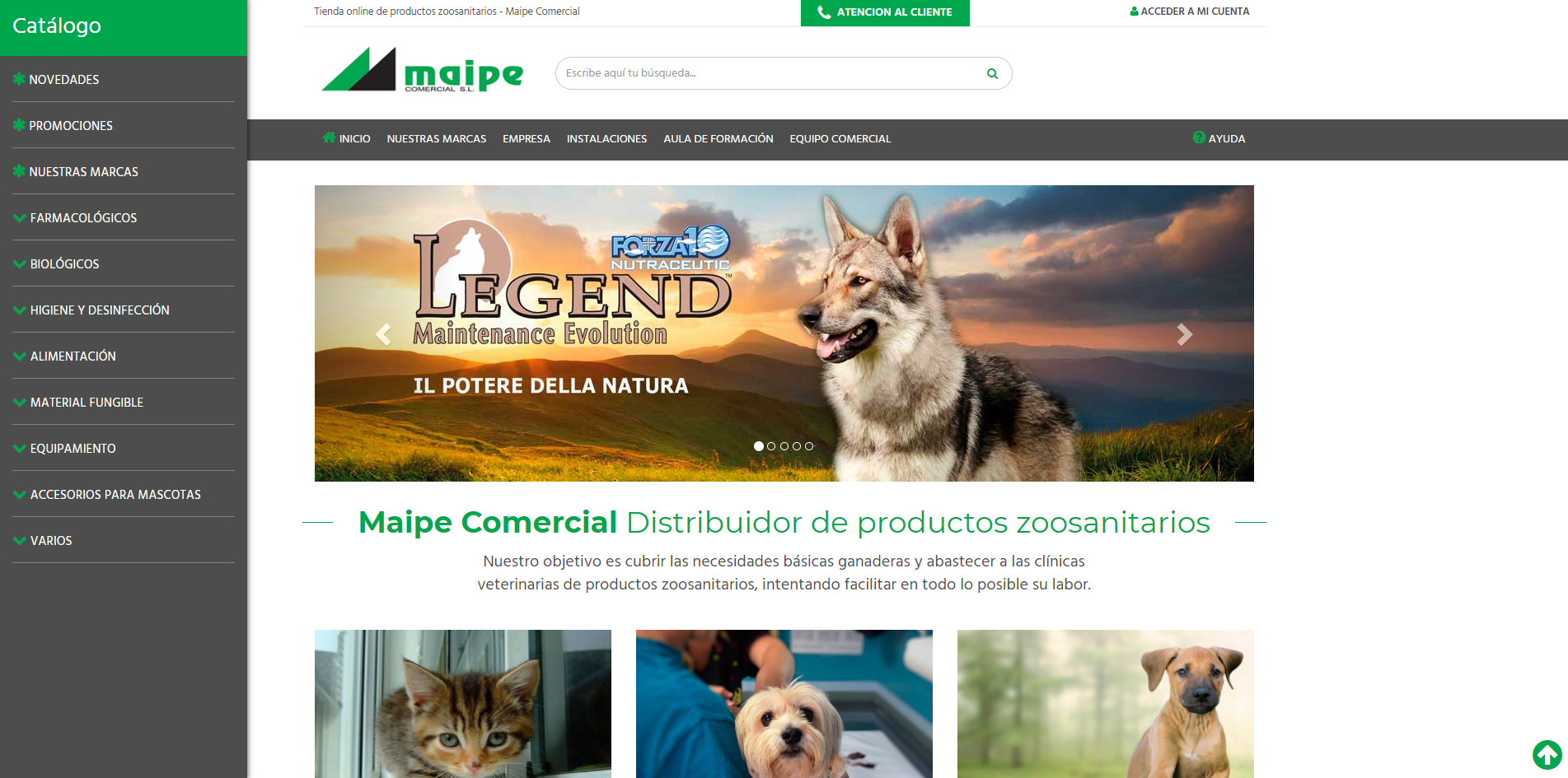 Maipe